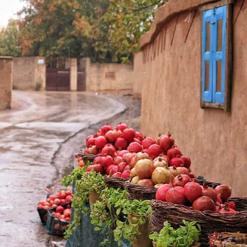 فرخ خسروی شه بانو عشقت منه مجنونم که هر وقت که دلم تنگ وابی